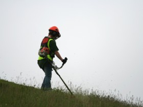 Maximize Efficiency: Top-Notch Grass Cutter Repairs at Pasco Green